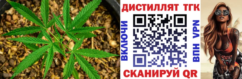 дарнет шоп Сочи Дистиллят ТГК вейп с тгк