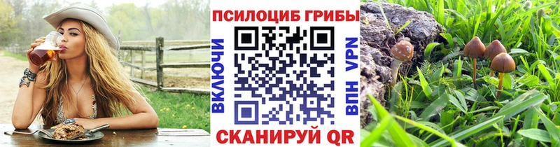 сколько стоит  Сочи  Псилоцибиновые грибы мицелий 